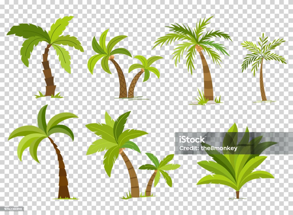 Palmiers isolés sur fond transparent. Arbre de palma vectro belle set vector illustration - clipart vectoriel de Palmier libre de droits