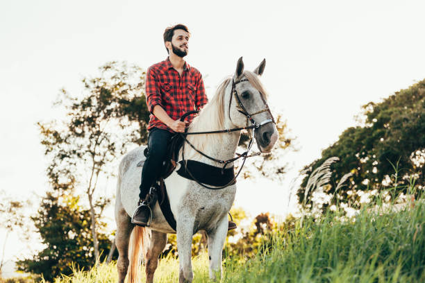 istock Young man riding white horse on the countryside 974231736