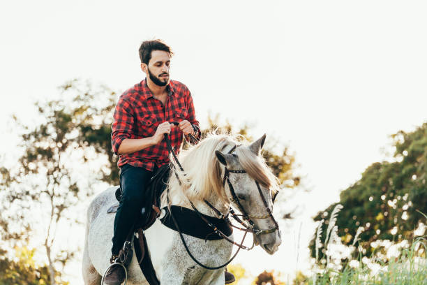 istock Young man riding white horse on the countryside 974232828