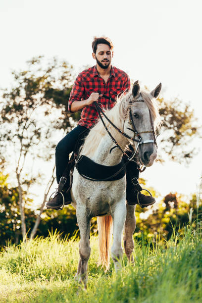 istock Young man riding white horse on the countryside 974233358