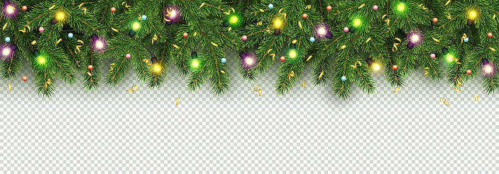 Christmas and New Year banner of realistic branches of Christmas tree, garland with glowing light bulbs, holly berries, serpentine Festive background Vector Isolated on transparent background