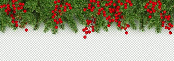 ilustraciones, imágenes clip art, dibujos animados e iconos de stock de navidad y año nuevo frontera de realista ramas de árbol de navidad y bayas de acebo - christmas branch pine tree evergreen tree