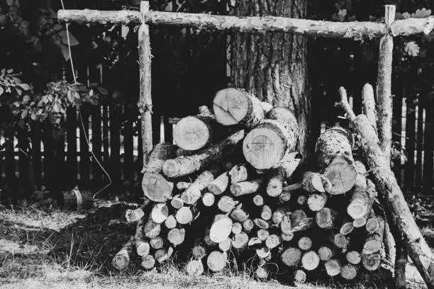 background; black; white; dark; log; warehouse; wood;