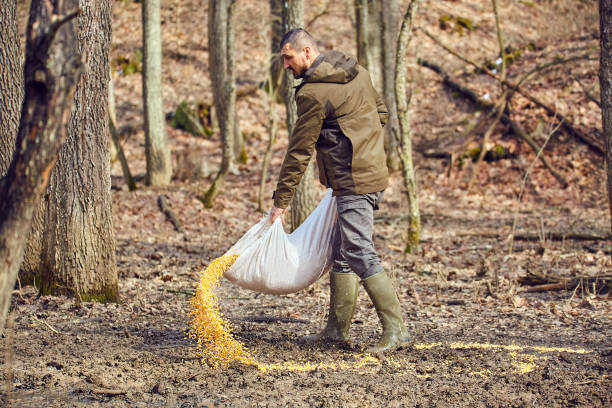 juego ranger en la alimentación de punto - guardabosque trabajador de fincas fotografías e imágenes de stock