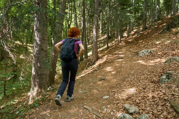 istock Woman hiking on a mountain trail 974279964