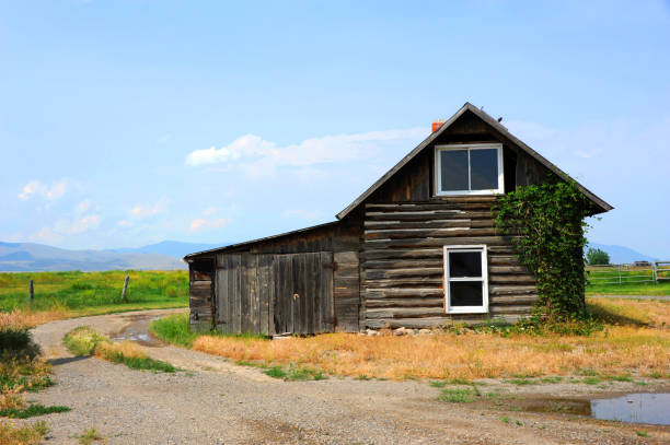 istock Cabin in Western Montana 974285878