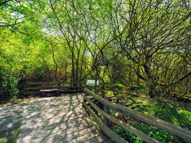 istock Sunny spring countryside,Northern Ireland 974289152