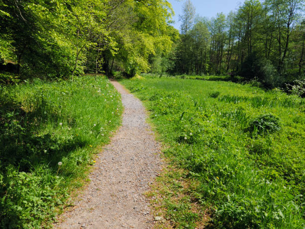 istock Sunny spring countryside,Northern Ireland 974289218