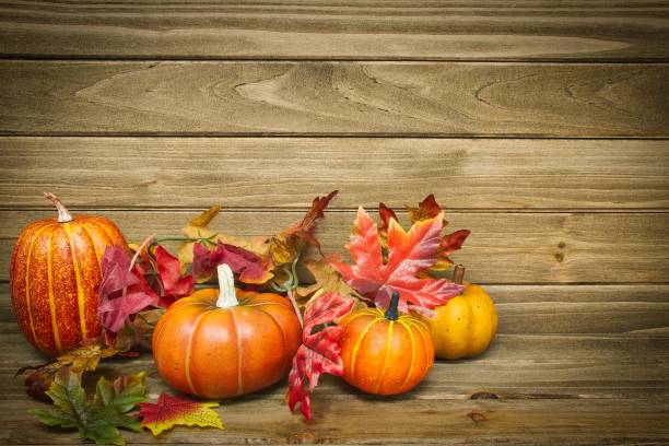 istock Autumn Thanksgiving Pumpkins with Wood Background 974289510