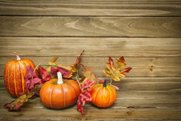 istock Autumn Thanksgiving Pumpkins with Wood Background 974289528