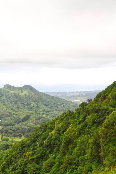 istock Cloudy Day from the Pali Overlook 974294426
