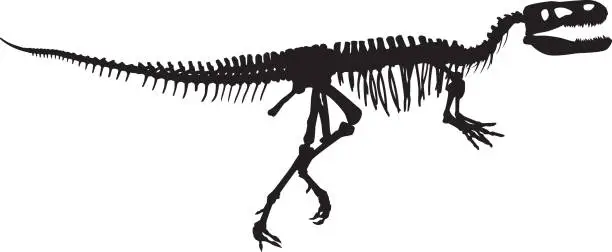 Vector illustration of Dinosaur Bones Silhouette