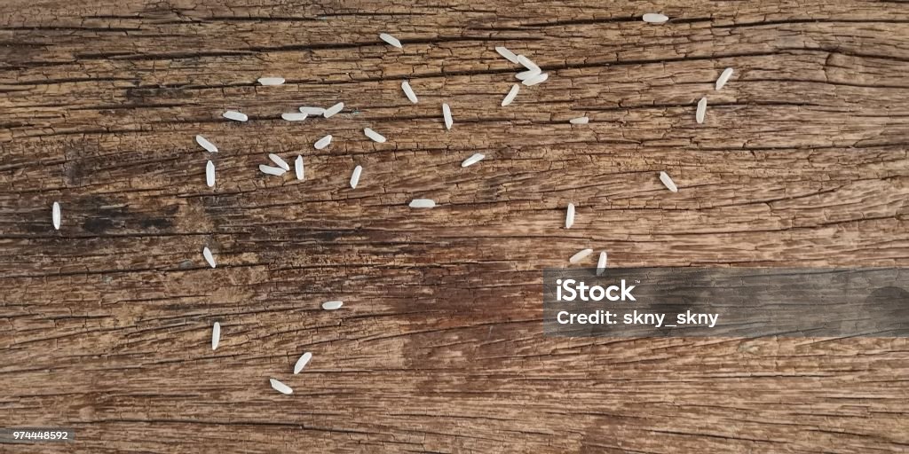 rice on old wood background 2015 Stock Photo