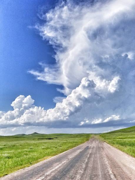 istock Prairie in Custer state park 974460000