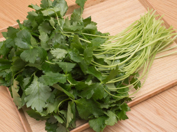 istock Japanese vegetables named 