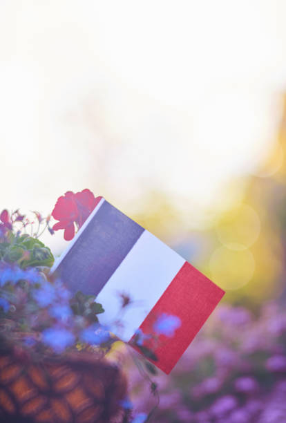 Patriotic French flag background with flowers and sun flare Patriotic French flag background with flowers and sun flare bastille day stock pictures, royalty-free photos & images