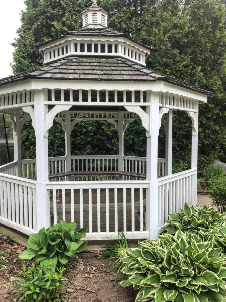 istock White gazebo in flower garden 974597928
