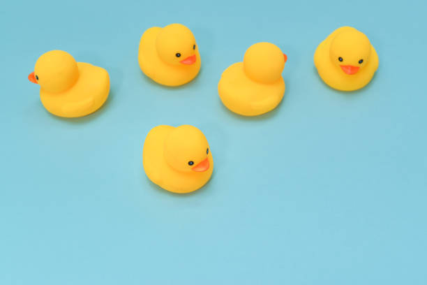 istock No direction concept, rubber ducks swimming in the different direction 974597962