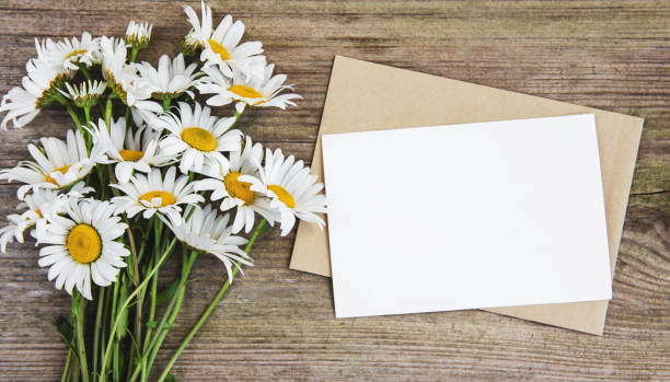 istock blank white greeting card and envelope with chamomile flowers 974612232