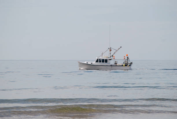 istock Small white boat in the ocean 974618138