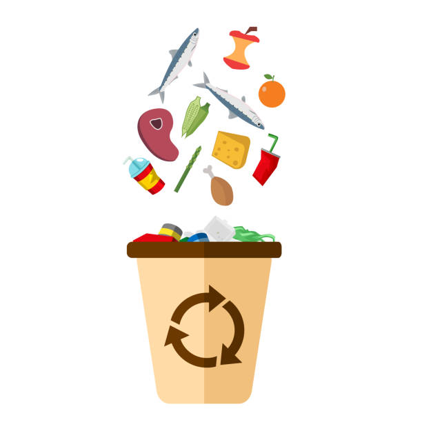 illustrazioni stock, clip art, cartoni animati e icone di tendenza di immagine vettoriale di sfondo bianco cestino del garbage - spreco alimentare
