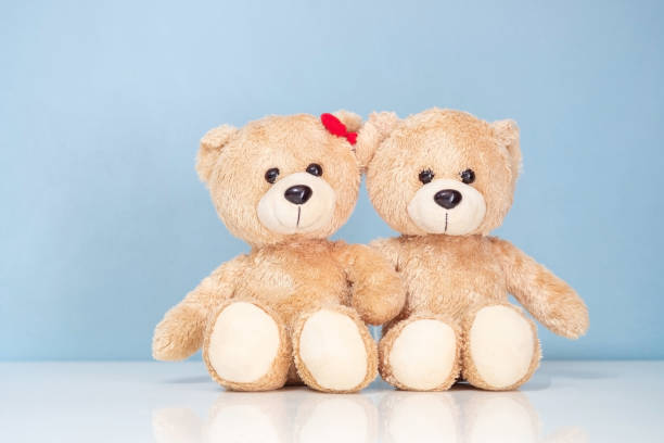 istock Two teddy Bear sitting on a white table and blue background. 974623864