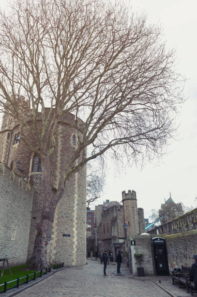 old buildings and towers in the inner ward area of royal palace and fortress of the tower of london, a historic castle and popular tourist attraction located on the north bank of the river thames in central london, england - built structure church flint stone imagens e fotografias de stock