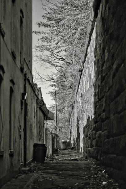 istock Secluded Alleyway 974624290