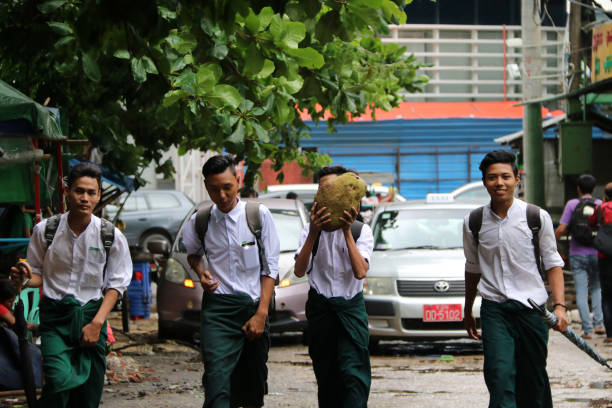 Four collegians in Myanmarese uniform of college (white shirt and green Long Yi) walking homing on the street after school program. stock photo