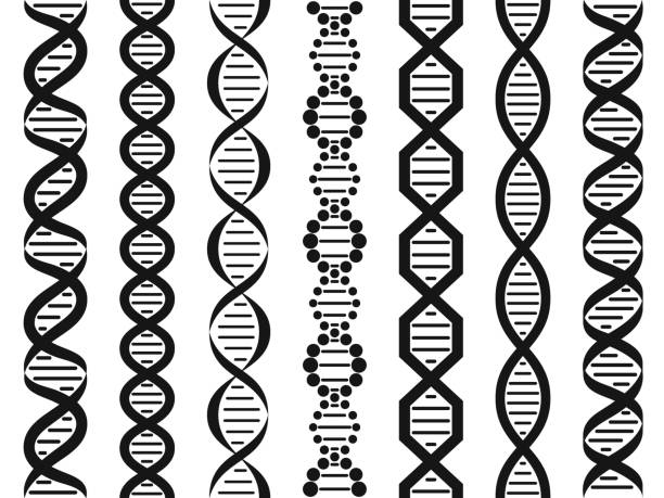 Dna Wave Pattern 1,800+ Dna Wavy Background Pattern Stock Illustrations, Royalty-Free ...
