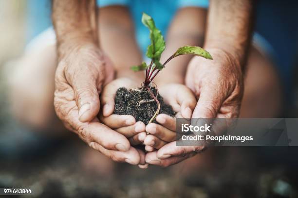 Teach Kids How Far A Little Care Can Go Stock Photo - Download Image Now - Sustainable Resources, Hand, Environment