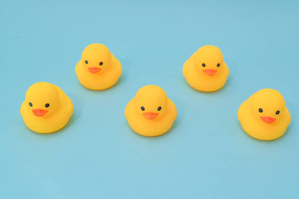 istock Discipline concept, rubber ducky are lining up facing same direction 974650216
