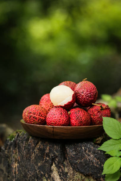 litchi litchi lychee stock pictures, royalty-free photos & images