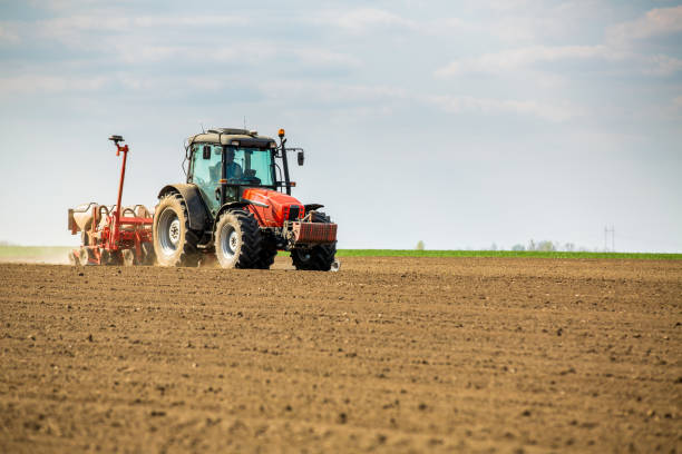 istock Farmer seeding, sowing crops at field. 974654284