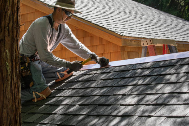 istock Installing new roof with hammer 974654382