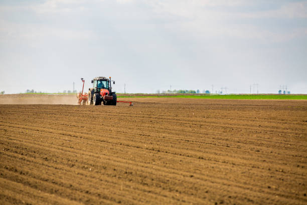 istock Farmer seeding, sowing crops at field. 974654592
