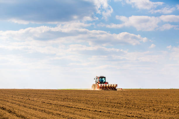 istock Farmer seeding, sowing crops at field. 974654706
