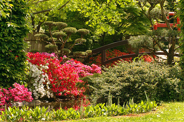 istock Japanese Garden 97465553