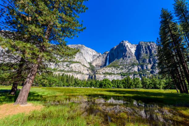 yosemite upper and lower falls in the yosemite national park, california, usa - fog yosemite national park national park nature imagens e fotografias de stock