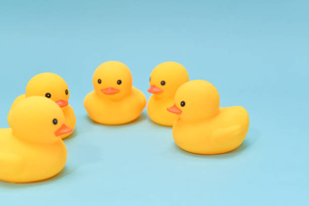 istock Brainstorm concept, rubber ducky are gathering for discussion 974670526