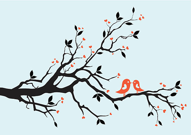 целовать птиц на филиала - heart shape wing red vector stock illustrations