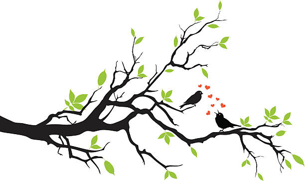 spring - pączek etap rozwoju rośliny stock illustrations