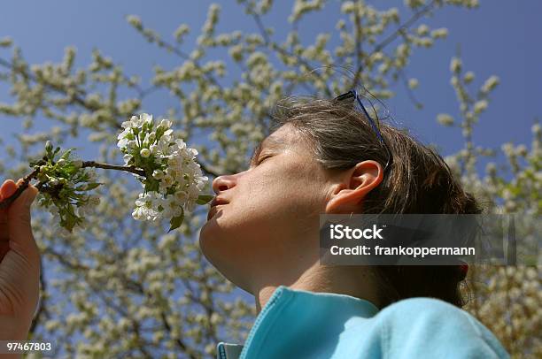 Cherry Blossom Stockfoto und mehr Bilder von Allergie - Allergie, Baum, Baumblüte