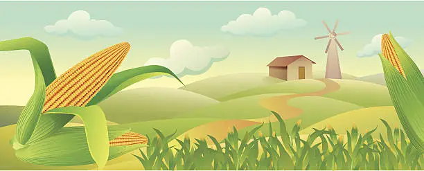 Vector illustration of Corn_Field