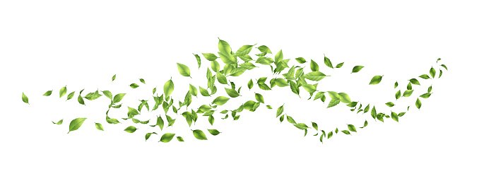 Green flying or falling off leaves. Vector abstract foliage background