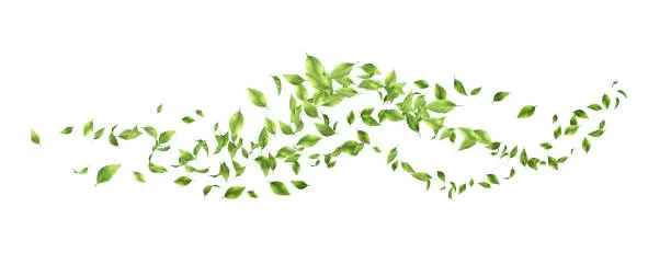 Vector illustration of Green Flying Leaves