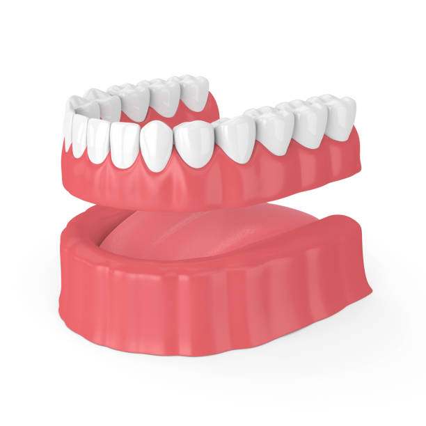 3d render of removable full denture stock photo