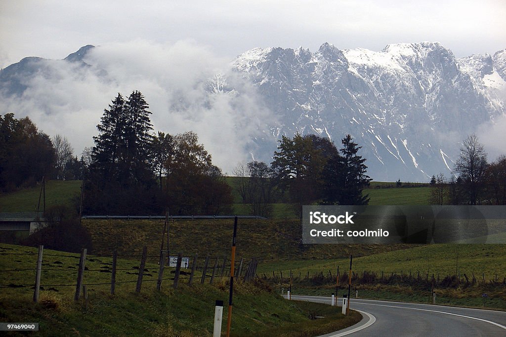 Autunno Drive - Foto stock royalty-free di Albero