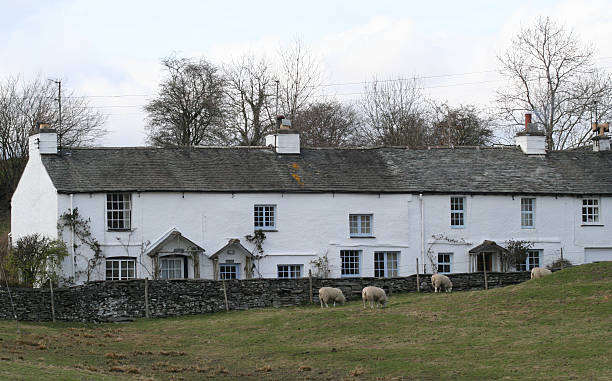 herdwick 羊および湖地区のコテージです。 - herdwick sheep ストックフォトと画像