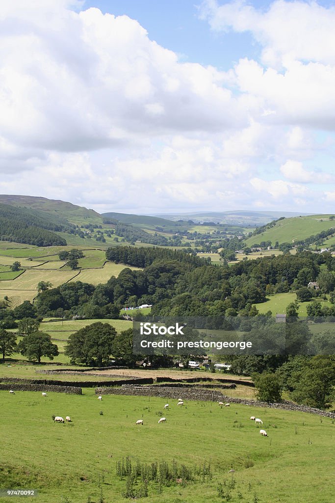 Wharfedale. - Foto de stock de Yorkshire Dales libre de derechos